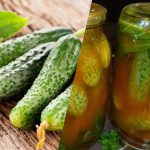 Ako zavrieť uhorky v chilli kečupe na zimu: 3 bezkonkurenčné