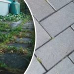 Burina na vašom dvore zmizne cez noc, ak ju postriekate