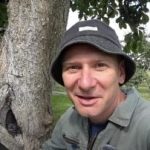 Dutý strom nie je rozsudok: osvedčený spôsob, ako predĺžiť životnosť