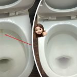 Jeden výrobok vybieli vašu záchodovú misu do žiarivého lesku: ako