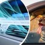 Vlna horúčav zasiahla Ukrajinu: ako rýchlo ochladiť interiér auta bez