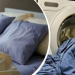 Ako často by sa mala meniť posteľná bielizeň: odborníci dali jednoznačnú odpoveď Ako často by sa mala meniť posteľná bielizeň: odborníci dali