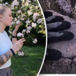 Ako predĺžiť životnosť starého stromu: tipy skúsených záhradníkov