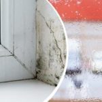 Ako sa zbaviť vlhkosti a kondenzácie na oknách: jednoduché tipy,