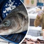 Ako si vybrať čerstvé ryby v obchode: znaky, ktoré si