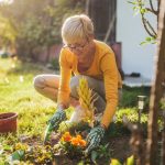 Čo jesť po päťdesiatke pre zdravie kostí: odborníci na výživu