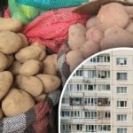 Dajte si ju na zemiaky: jednoduchý spôsob, ako uchovať zeleninu