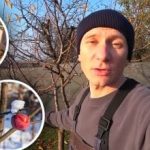 Jeden z krokov, ktorý ochráni záhradu: čo by ste mali