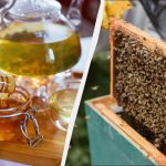 Ktorý druh medu je najzdravší a či sa dá zohrievať: