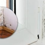 Na chemikálie môžete zabudnúť: jednoduchý prírodný prostriedok okamžite ničí plesne