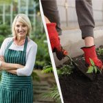 Najpresnejší výsevný kalendár na január 2026: čo zasadiť na sadenice