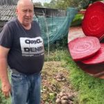 Nehnije a nevysychá: Ako udržať červenú repu chrumkavú a šťavnatú