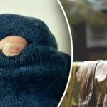 Oblečenie by sa nemalo sušiť na radiátore: odborníci uviedli dva