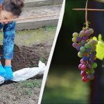 Pri tejto značke na teplomere by ste mali hrozno prikryť: