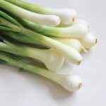 Ako pestovať zelenú cibuľu na parapete v zime: záhradníci odhalili